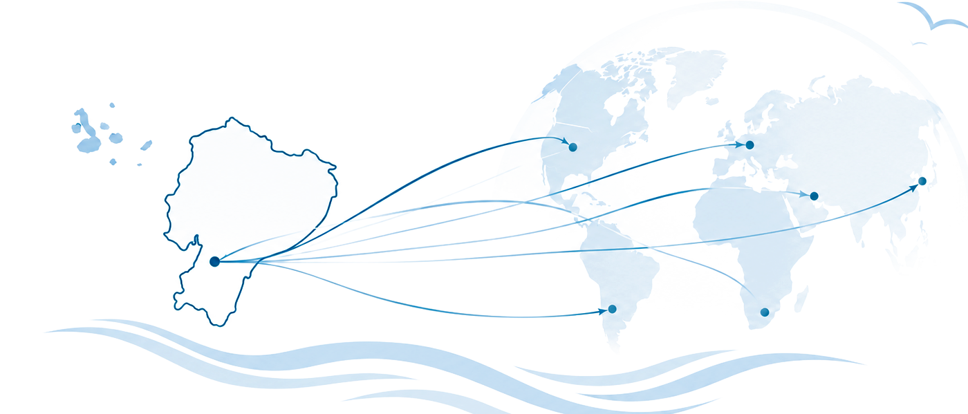 ecuador_mundo_transparente_visible_sin_cuadros